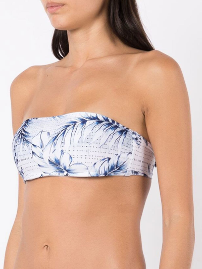 Shop Lygia & Nanny Palm-tree Print Bikini Top In Blue