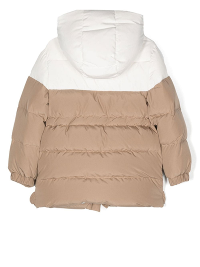 Shop Eleventy Panelled Hooded Down Jacket In Brown