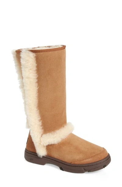 Shop Ugg Sunburst Genuine Shearling Tall Boot In Chestnut