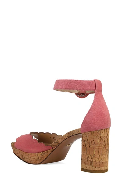 Shop Pelle Moda Aneko Platform Sandal In Flamingo Pink