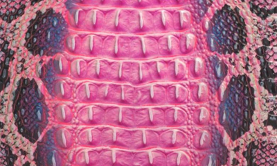 Brahmin Large Duxbury Satchel Pink Cobra Melbourne Multicolor