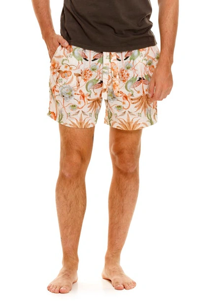 Shop The Lazy Poet Ben Peach Jungle Pajama Shorts In Pink