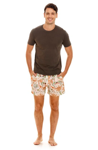 Shop The Lazy Poet Ben Peach Jungle Pajama Shorts In Pink