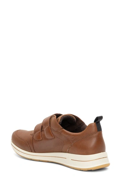 Ara Oakland Sneaker In Nuts