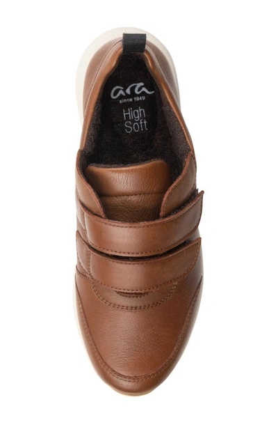 Ara Oakland Sneaker In Nuts