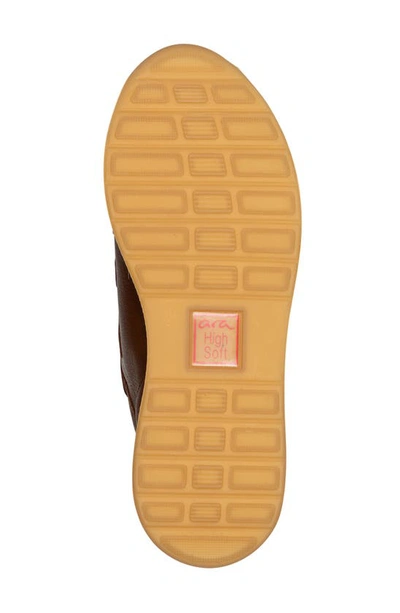 Ara Oakland Sneaker In Nuts