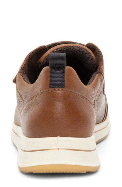 Ara Oakland Sneaker In Nuts