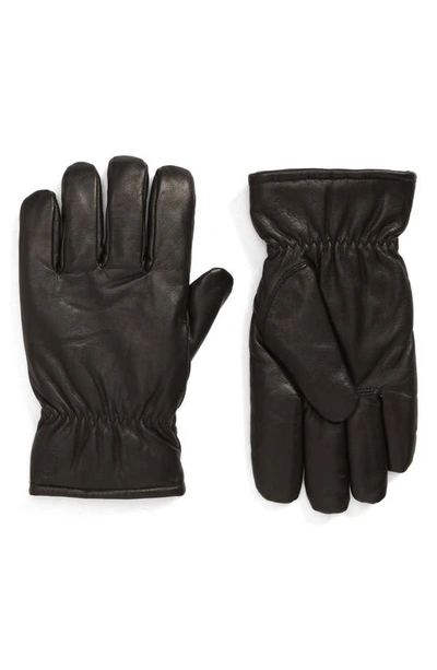 Shop Carhartt Fonda Leather Gloves In Black