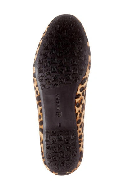 Shop Birdies Starling Flat In Cheetah Calf Hair/ Black