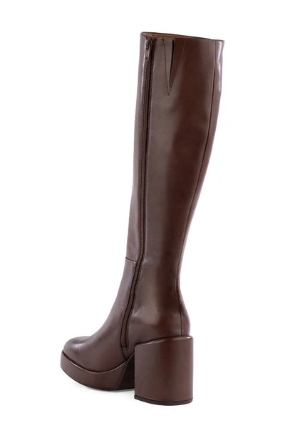 Seychelles No Love Knee High Boot In Brown