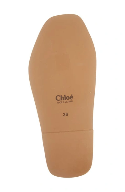 Shop Chloé Woody Logo Slide Sandal In Creamy Lilac