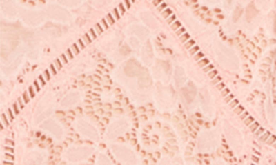 Shop Nsr Crochet Stretch Lace Midi Dress In Blush