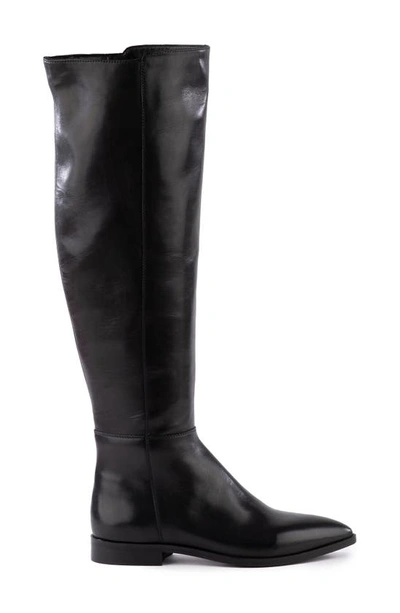 Seychelles Gentle Touch Knee High Boot In Black