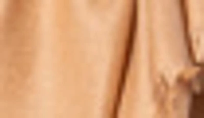 Amicale Solid Pashmina Scarf In Camel