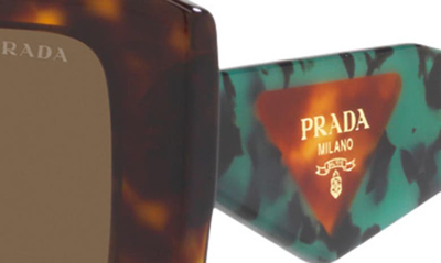 Prada Square Acetate Sunglasses In Tortoise