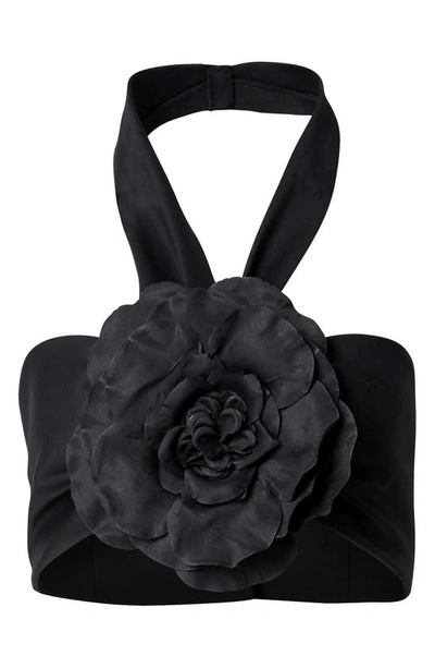 Shop Carolina Herrera Floral Appliqué Halter Neck Cotton Blend Bandeau Top In Black