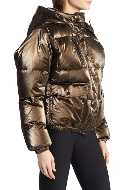 Blanc Noir Mont Blanc Hooded Puffer Jacket In Cappuccino | ModeSens