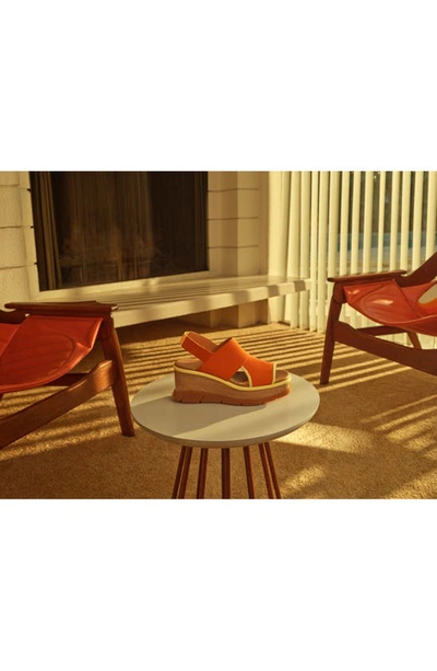 Shop Sorel Joanie Iii Slingback Wedge Sandal In Desert Sun Tranquil