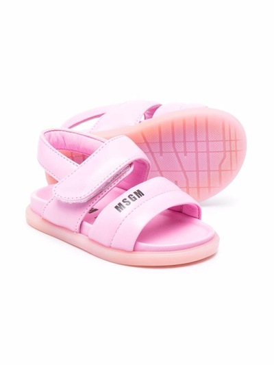 Msgm Logo Sandals In Rosa