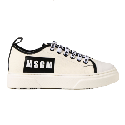 Msgm Sneakers With Logo In Bianco