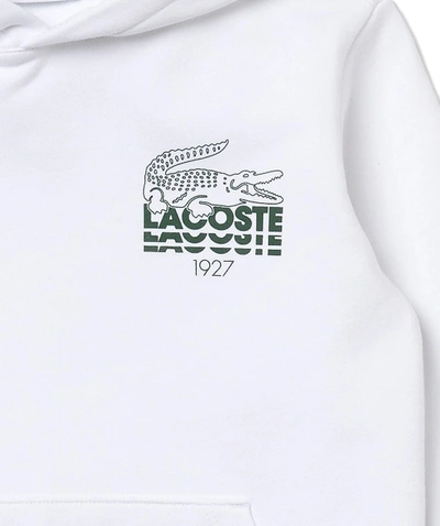 Shop Lacoste Sweatshirt With Front Pouch Pocket In Bianco