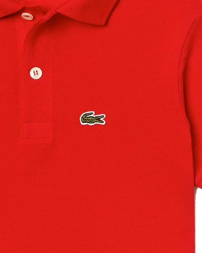 Shop Lacoste Basic Polo With Logo In Rosso