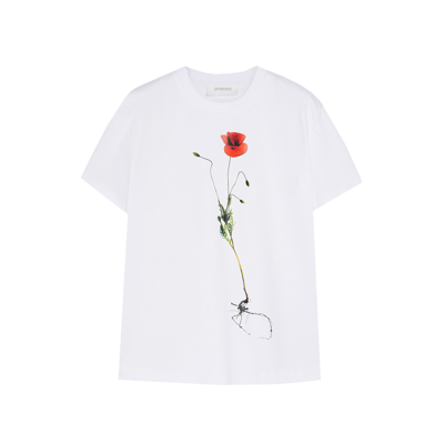 Shop Sportmax Campo T-shirt In White