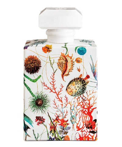 Carthusia I Profumi Di Capri A'mmare Eau De Parfum 100 ml In White