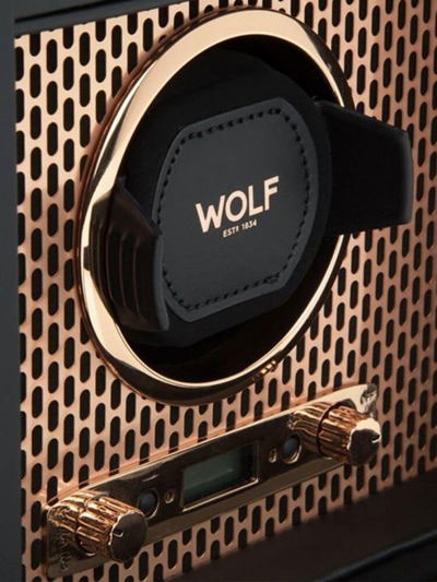 Shop Wolf Axis Watch Winder In Black