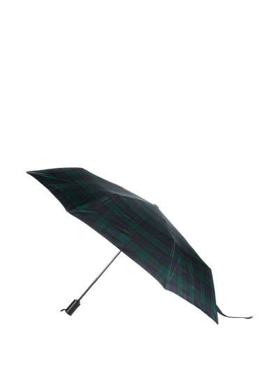 Shop Mackintosh Ayr Gordon Automatic Telescopic Umbrella In Green