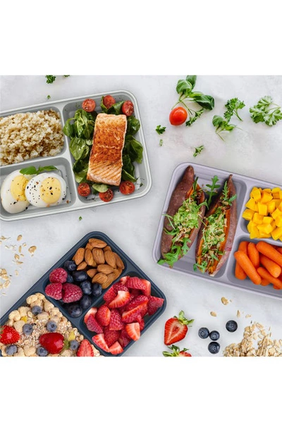 Bentgo Prep 3-compartment Meal Prep Containers In Lilac