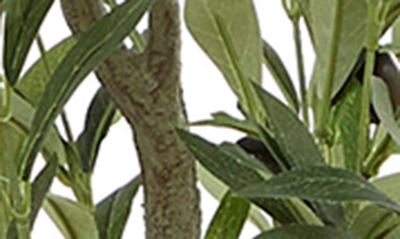 Ginger Birch Studio Green Faux Foliage Olive Artificial Tree With Black Melamine Pot In Green