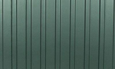 Kenneth Cole Reaction Renegade 28" Lightweight Hardside Expandable Spinner Luggage In Cilantro