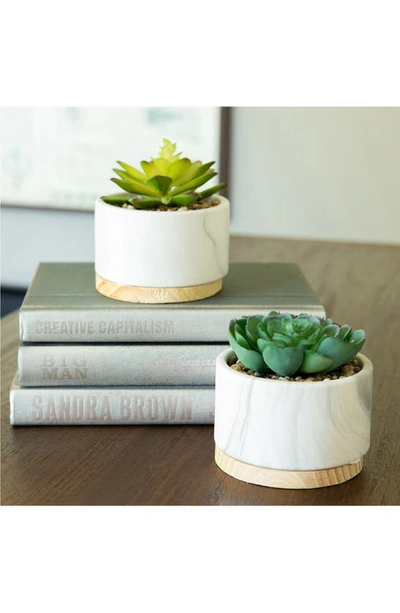 Flora Bunda Marble Artificial Succulent In White