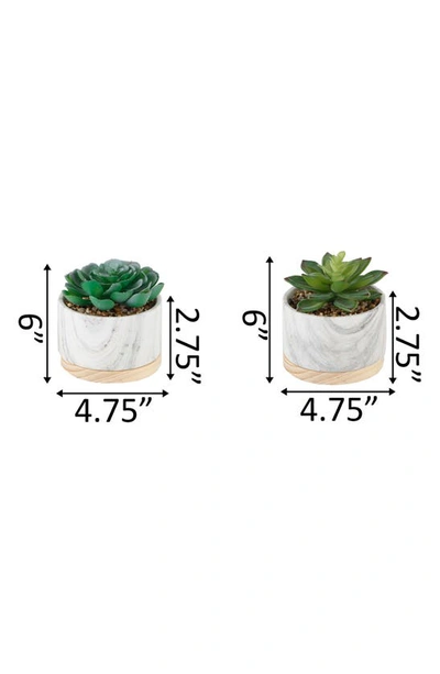 Flora Bunda Marble Artificial Succulent In White