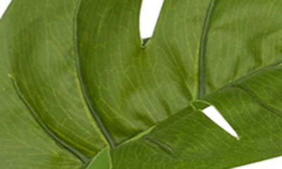 Ginger Birch Studio Green Faux Foliage Monstera Artificial Plant With Colorblock Pot In Green