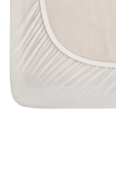 Shop Beautyrest 100% Cotton Headed Mattress Pad In White