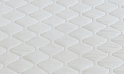 Beautyrest Heated Mattress Pad In White