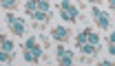 Modern Threads Printed 4-piece Sheet Set In Forever Roses