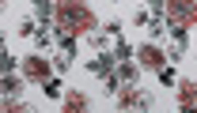 Modern Threads Printed 4-piece Sheet Set In Rose Bloom