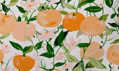 Deny Designs Alison Janssen Spring Clementine Throw Pillow In Multi