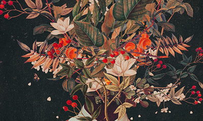 Deny Designs Frank Moth Foliage Art Print In Multi
