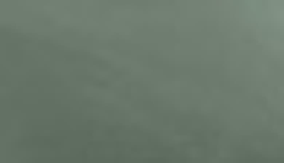 Southshore Fine Linens Southshore Essentials Double Brushed 100 Gsm Sheet Set In Dark Green