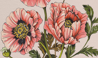 Shop Deny Designs Nelvis Valenzuela Pink Shirley Art Print In Multi