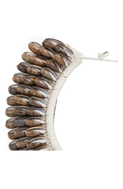 Ginger Birch Studio Shell Collar Pedestal In Brown