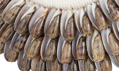 Ginger Birch Studio Shell Collar Pedestal In Brown