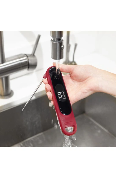 Dash Precision Quick-read Thermometer In Red