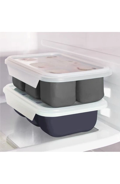 Shop Dash Perfect Portion Freezer Trays In Cool Grey Midnight