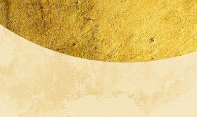 Wynwood Studio Prints Full Moon Wall Art In Gold