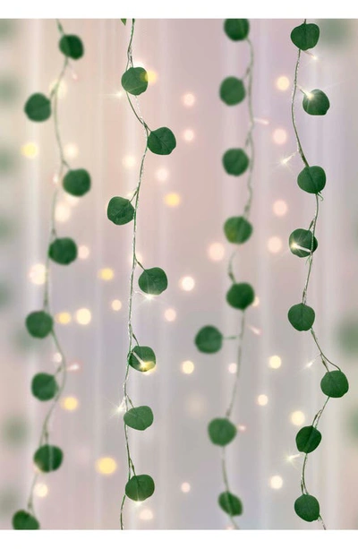 Shop Merkury Innovations Eucalyptus Curtain Led Vine Lights In Green